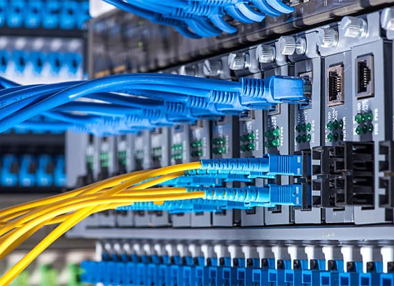 Fiber Optic Connectivity